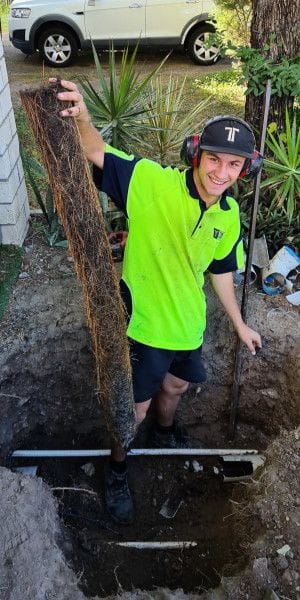 A plumber in a large hole holding a section of blocked pipe caused by tree roots